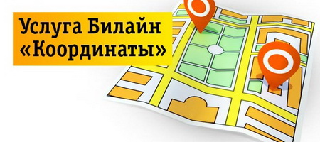 Как подключить или отключить услугу Локатор на Билайне