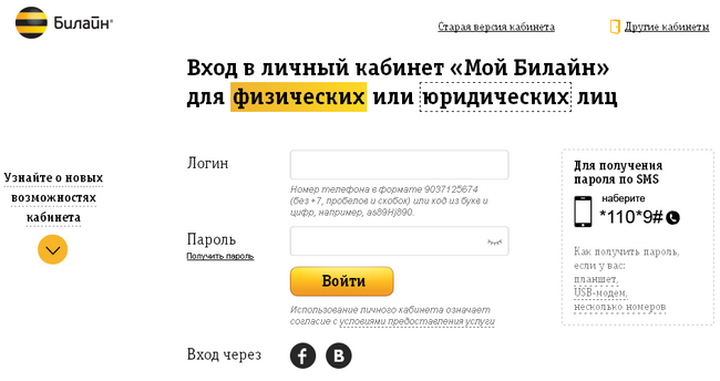 Детализация звонков Билайн: все способы получить услугу