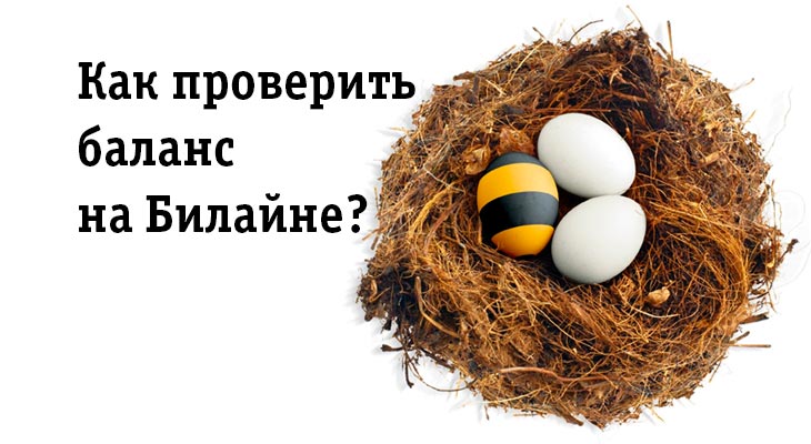Как проверить свой баланс и баланс другого абонента Билайн