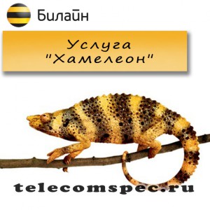 Услуга "Хамелеон" от Билайн: как подключить и отключить услугу