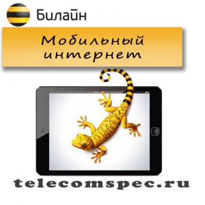 Мобильный интернет от Билайн: как подключить, пакеты и стоимость