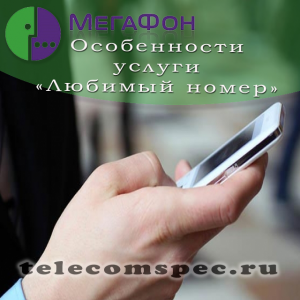 Услуга "Любимый номер" от Мегафон: особенности услуги и стоимость
