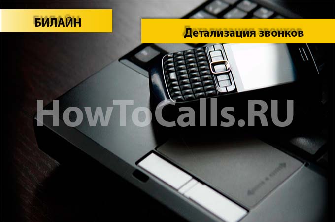 Детализация звонков на Билайне через личный кабинет