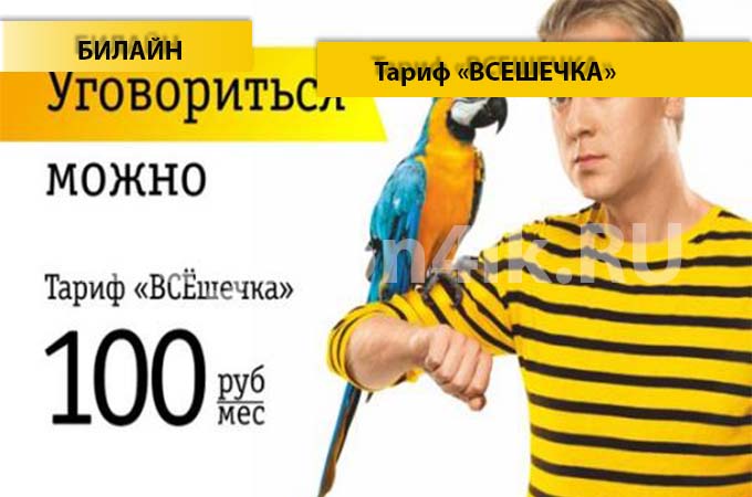Тариф «Всешечка» от Билайн - описание, подключение и переход на тариф «Всешечка»