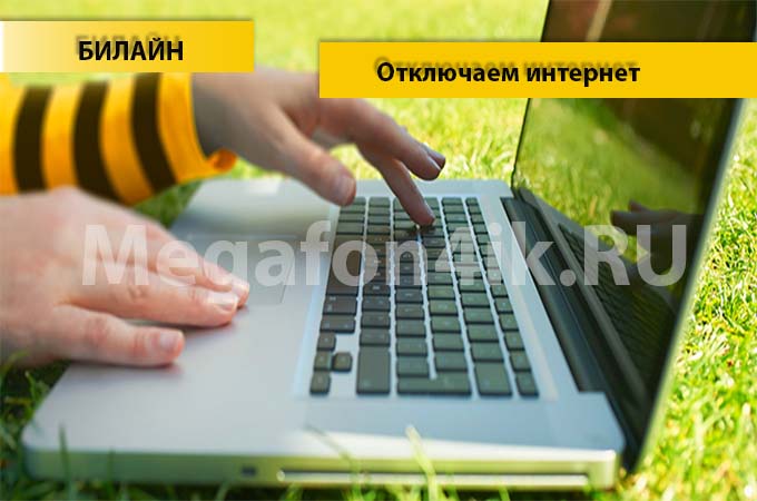 4 способа отключить интернет на Билайне 4 способа отключить интернет на Билайне