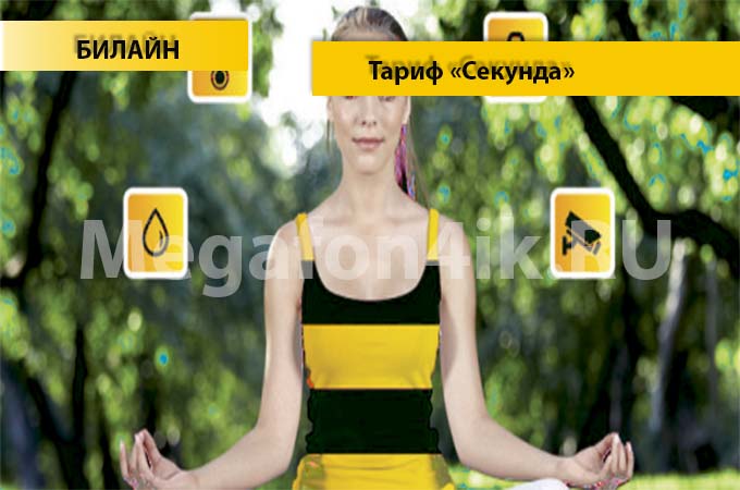 Тариф «Секунда» от Билайн - описание, подключение и переход на тариф Секунда