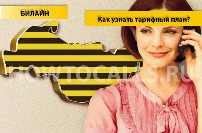 Как узнать свой тарифный план на Билайне - 3 способа