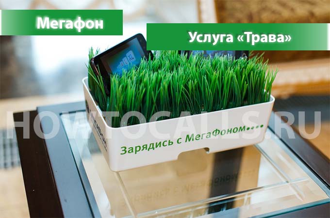 Опция Трава.ru Мегафон - описание, подключение и отключение услуги Трава от Мегафона