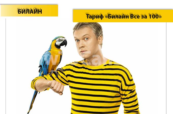 Тариф «Все за 100» от Билайн - описание тарифа, как подключить и как отключить тарифный план Все за 100 от Билайн Тариф «Все за 100» от Билайн - описание тарифа, как подключить и как отключить тарифный план Все за 100 от Билайн