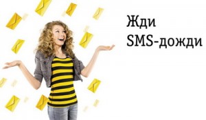Как подключить дополнительный пакет СМС на Билайн
