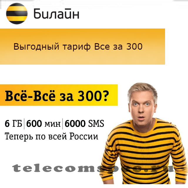 Тариф Билайн все за 300: описание, как подключить, отзывы