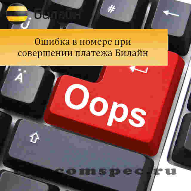 Ошибочный платеж Билайн: как вернуть деньги