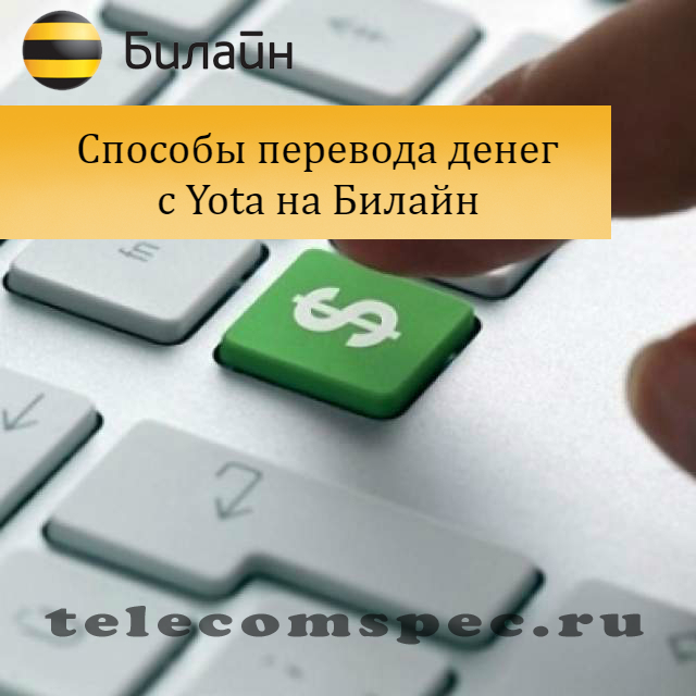 Как с йоты перевести деньги на Билайн: описание услуги