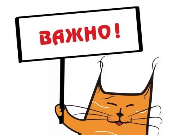 Внутризоновая связь Ростелеком
